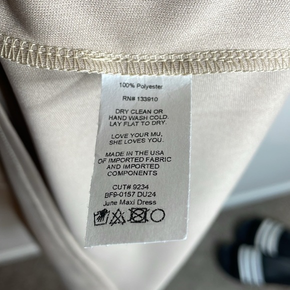 Show Me Your Mumu | Jenn Maxi Dress Soft Beige Chiffon Size Medium NWT - Picture 7 of 8